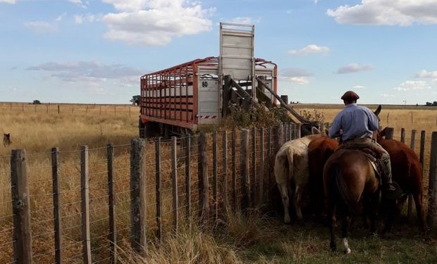 Habilitan la emisión del documento único de transporte electrónico para el traslado de hacienda en Chaco