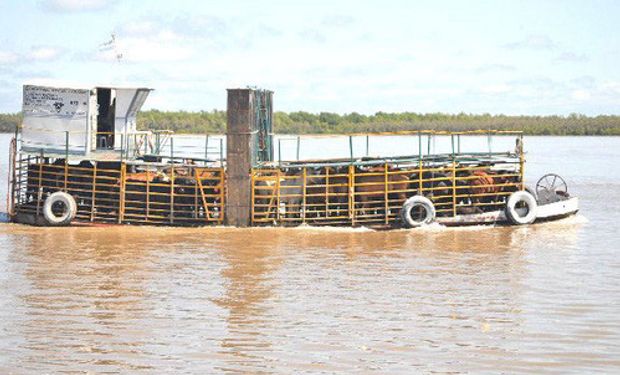 Inundaciones complican el traslado de ganado