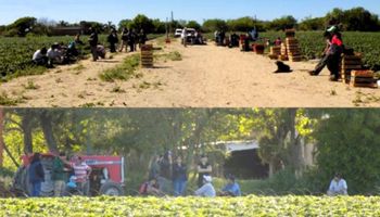 Imputan a un productor de 25 años por explotación de 45 personas en un campo de Santa Fe