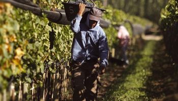 Prestación de Protección Social para trabajadores agrarios víctimas de trata de personas