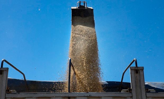 Operaciones de canje agropecuario: enfocando en ingresos brutos, cómo es el tratamiento Impositivo