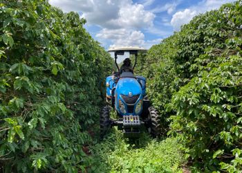 O que o produtor rural busca em um trator para agricultura familiar?