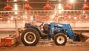 Tratores e máquinas agrícolas: veja as novidades da Expodireto Cotrijal