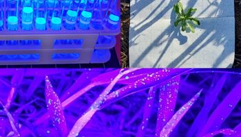 Así funciona el novedoso trazador ultravioleta para evaluar la calidad de las aplicaciones agrícolas