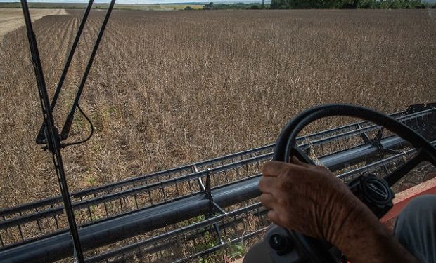 La soja cerró con saldo mixto en Chicago y con bajas en Rosario, a la espera de un dólar especial para el campo