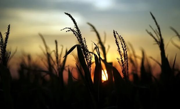 ¿Cuándo vuelven las lluvias? Día por día, qué zonas serán alcanzadas por el agua y  cómo estan las reservas de humedad