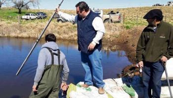 Daireaux y Trenque Lauquen, enfrentados por la inundación