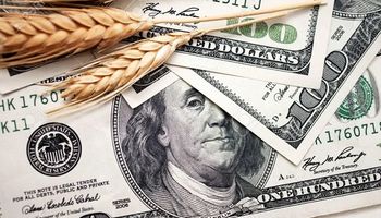 Mercado de granos: la incertidumbre en la región del Mar Negro impulsa los precios del trigo