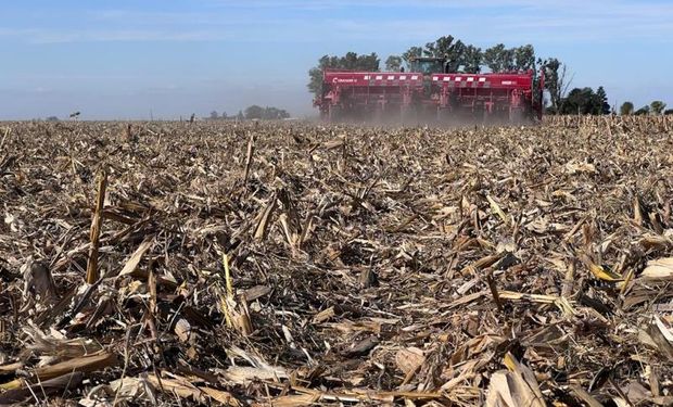 En abril llovió un 70% menos y puso en duda al trigo: el 60% de los productores tiene una baja intención de siembra