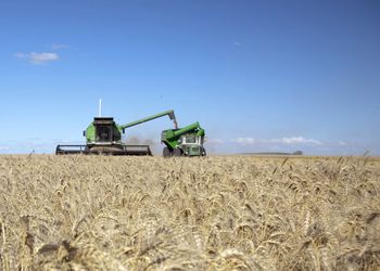 Productores reclaman que continúe la baja de las retenciones ante los problemas de rentabilidad