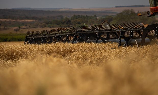 Zoneamento permite ao produtor identificar a melhor época para plantar. (Foto - CNA)