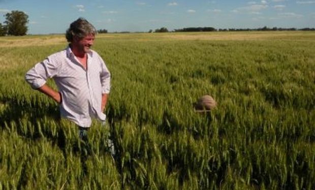 Día del Agricultor y del Productor Agropecuario en Argentina: por qué se celebra el 8 de septiembre