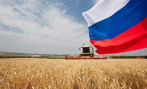 Rússia elevou a previsão sobre produção de trigo para 92,1 milhões de toneladas contra a estimativa anterior de 87,1 milhões de toneladas. (foto - divulgação)