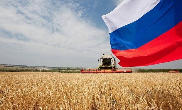 Inverno rigoroso na Rússia pode matar parte das lavouras de trigo, gerando perdas à produção.