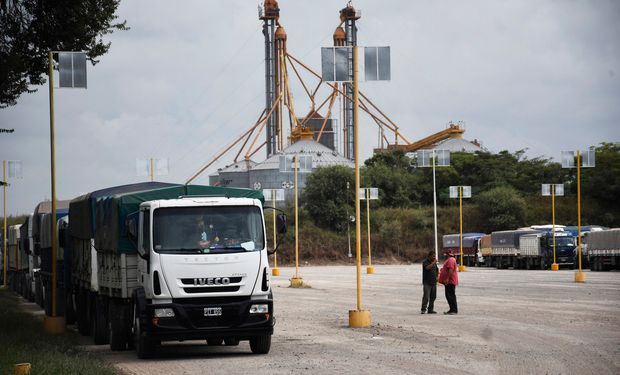 Aumentó un 150 % el ingreso de camiones de trigo a los puertos, pero sigue lejos del promedio