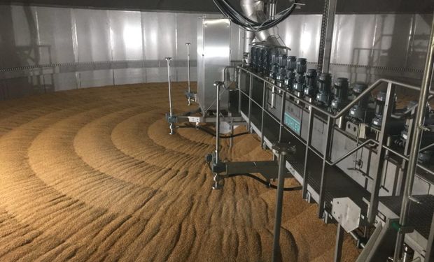 Boortmalt en A Todo Trigo: bajo qué condiciones buscan producir cebada en la región centro