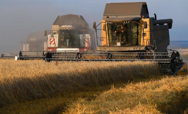 Fuerte suba: el trigo cortó la racha bajista en un mercado que sigue las retenciones que puso Rusia
