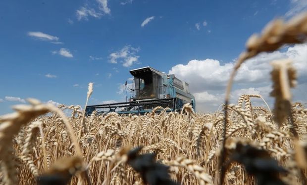 Cotação do trigo recua até 30% em um ano