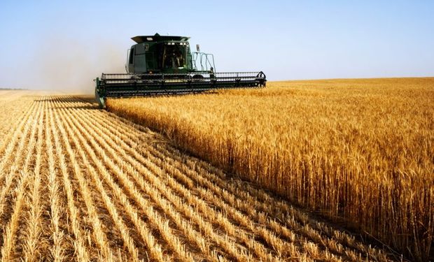 Principais regiões agrícolas da Argentina precisam de mais chuvas para evitar perdas na produtividade. (foto - ilustrativa)