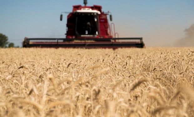 Se aceleró la cosecha de trigo en el centro norte de Santa Fe y un 60 % está en estado malo a regular