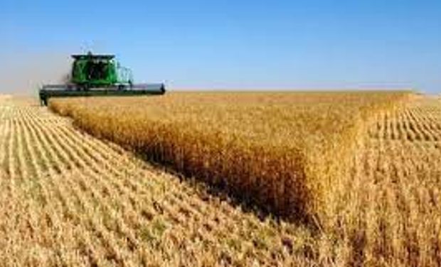 Brasil e Argentina já têm cerca de 60% das lavouras semeadas. (foto - divulgação)