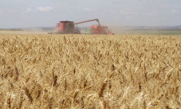 A referencia de Chicago oscila entre incertezas no Mar Negro, Mar Vermelho e boas expectativas de safra nos Estados Unidos e na Argentina. (foto - ilustrativa)