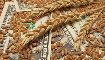 Rebotó el trigo luego de tocar un mínimo de cinco meses: también hubo importantes subas para soja y trigo