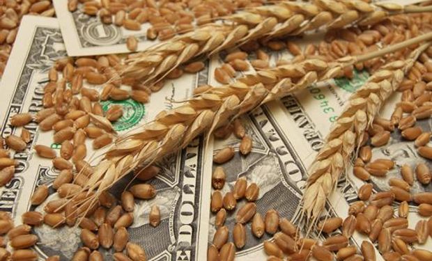 Rebotó el trigo luego de tocar un mínimo de cinco meses: también hubo importantes subas para soja y trigo