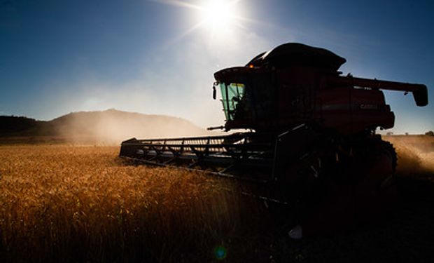 Produção de trigo em 2022 é estimada em 5,73 milhões de toneladas. (foto - Sistema CNA/Senar)