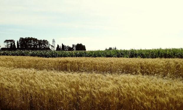 Confirman que La Niña llega en primavera, pero sería débil: la importancia de mantener las reservas de humedad