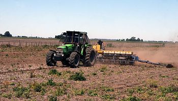La decisión del productor argentino que podría ponerle presión a la soja en el mundo