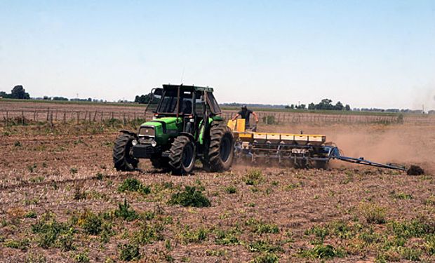 La decisión del productor argentino que podría ponerle presión a la soja en el mundo