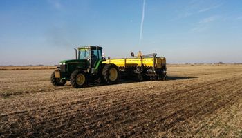 La falta de lluvias puso en jaque la siembra del 10 % del área de trigo en la zona núcleo