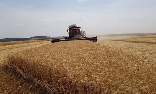 Brasil poderá se tornar, inclusive, um país exportador da commodity. (foto - arquivo)