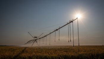 Governo anuncia zoneamento de risco climático para cereais de inverno