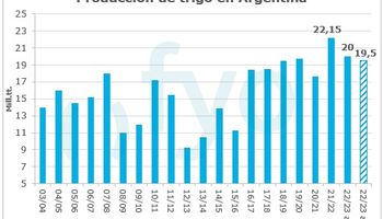 Tiempos de guerra y sequía: los siete gráficos detrás del mercado de soja, trigo y maíz