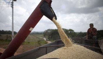 Finalmente se exportó trigo en diciembre