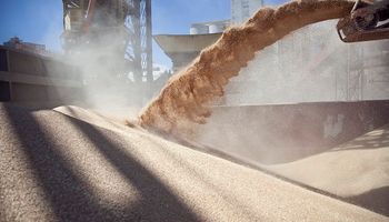Récord de exportaciones de trigo