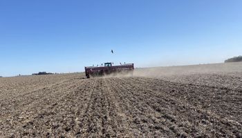Bajó el precio de la urea y se espera una mayor aplicación de tecnología en el trigo: cuánto se sembrará