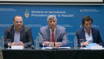 Estimación oficial: 18,3 millones de toneladas de trigo