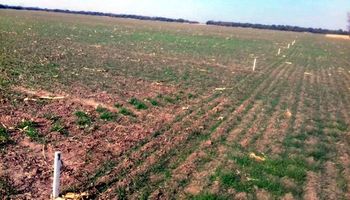 Se ajustan las reservas de humedad en el centro: qué dice el pronóstico del tiempo