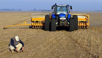 Argentina tiene mucho por ganar en el "Mundial del trigo"