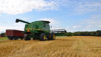 Se acerca la fecha límite para declarar la producción de trigo