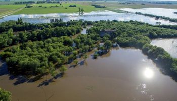 Trigo: últimas lluvias agravaron el estado de anegamiento