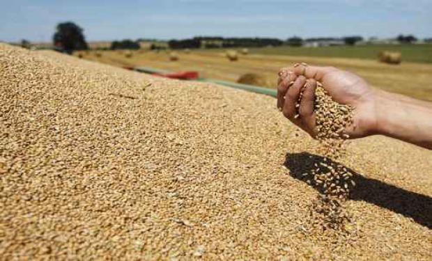 En los operativos desarrollados se realizaron mediciones en plantas de acopio y molinos de la zona núcleo productivo.