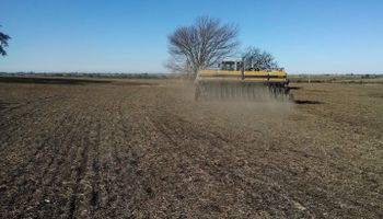 El trigo va por un nuevo récord productivo en la zona núcleo