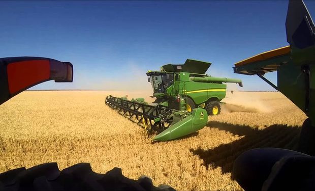 La otra cara de La Niña: Australia se prepara para la segunda mayor cosecha de trigo de la historia