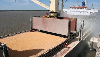 Brasil espera más trigo argentino