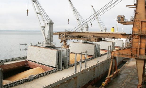 Fuerte demanda de trigo en EE.UU. afecta el abastecimiento de Brasil