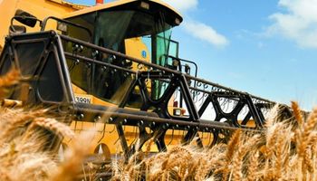Lanzan nuevo relevamiento gratuito de calidad del trigo